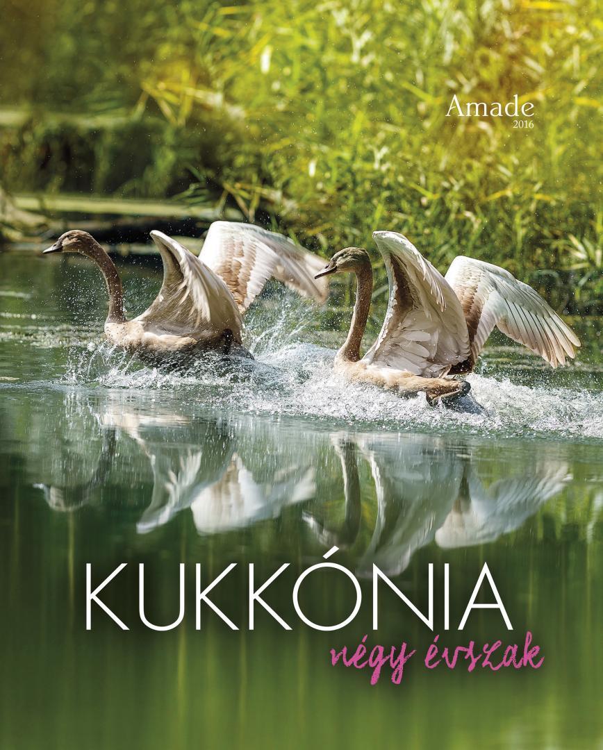 KUKKÓNIA NÉGY ÉVSZAK